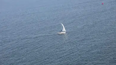 Des technologies grand public qui commencent à changer la donne