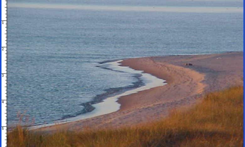 Un guide de l'édition photo de base avec Photoshop