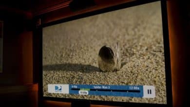 Devriez-vous utiliser un écran de projection blanc ou gris ?