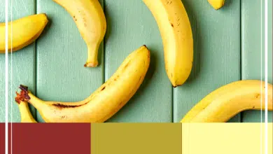 Combinaisons de couleurs inspirées des fruits
