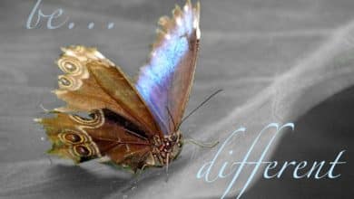 Comment superposer du texte sur des photos dans Adobe Photoshop