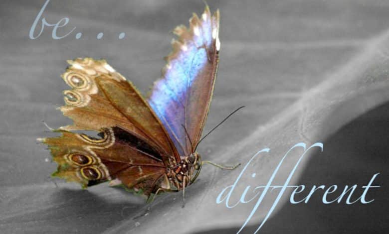 Comment superposer du texte sur des photos dans Adobe Photoshop