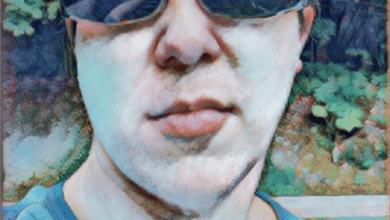 Comment créer de l'art généré par l'IA avec le transfert de style