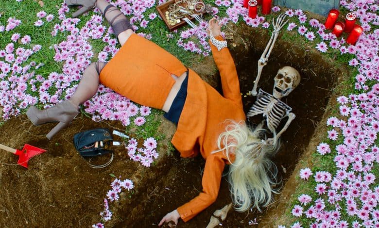 6 comptes Instagram bizarres (que vous devriez suivre)
