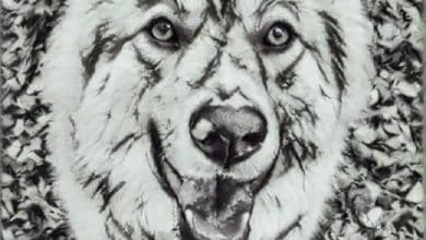 Comment faire de l'art numérique à partir de photos sans dessiner