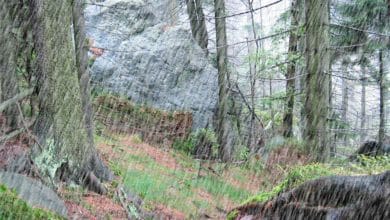 Comment faire pleuvoir avec Photoshop