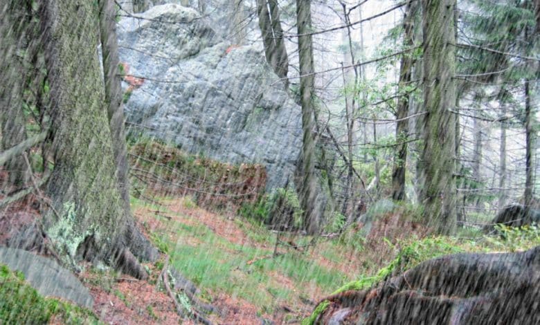 Comment faire pleuvoir avec Photoshop