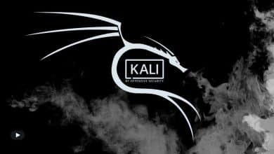 Un guide simple pour obtenir Kali Linux sur votre Android sans l'enraciner