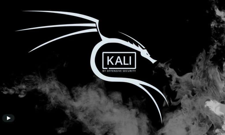 Un guide simple pour obtenir Kali Linux sur votre Android sans l'enraciner