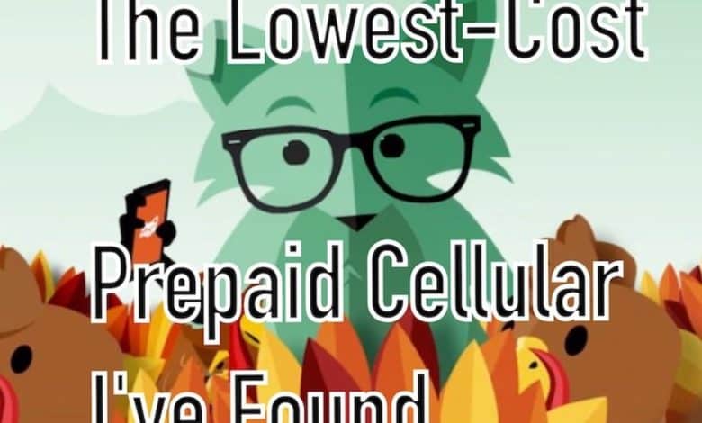 Le cellulaire prépayé le moins cher : mon avis sur Mint Mobile