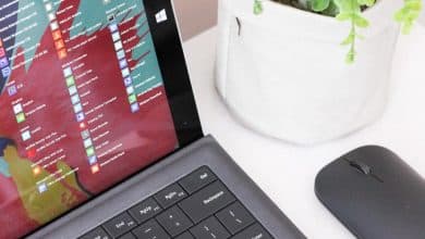 Comment utiliser Animotica : un éditeur vidéo gratuit pour Windows 10
