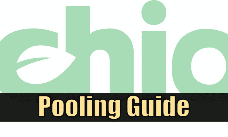 Chia Farming Guide to Polish
