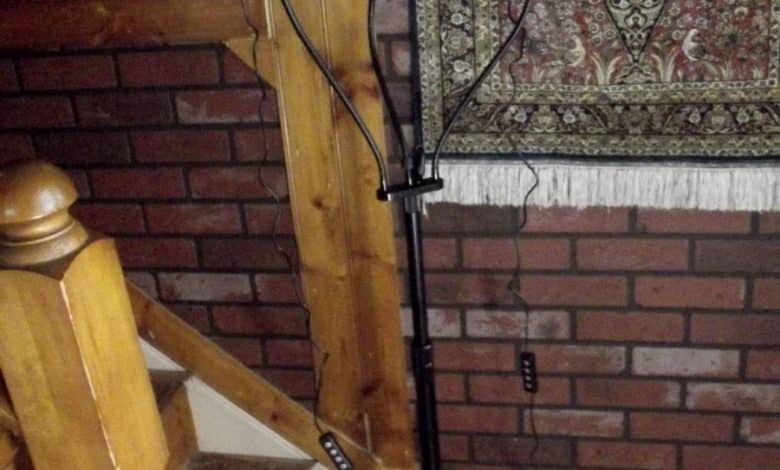 Examen du système d'éclairage annulaire Imartine Selfie