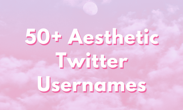 Plus de 50 noms d'utilisateur et idées esthétiques sur Twitter : la liste ultime