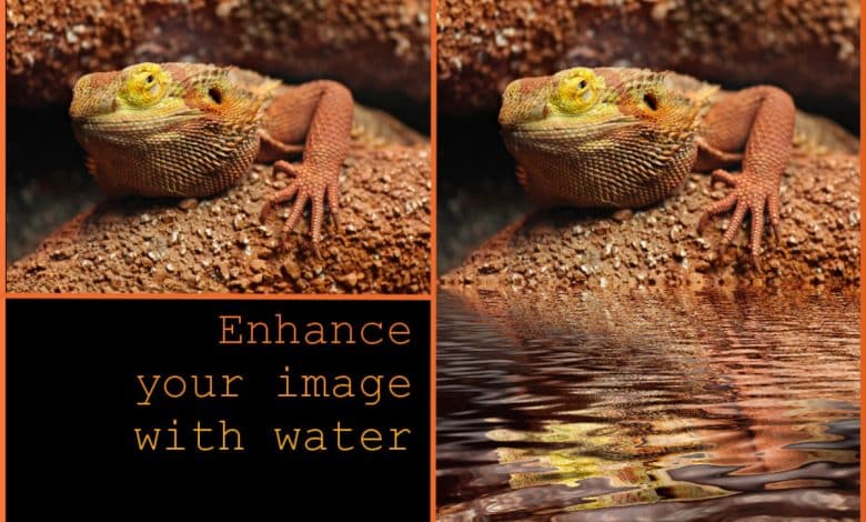 Comment ajouter la réflexion de l'eau à une image dans GIMP