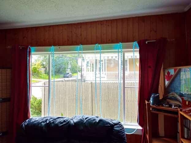 Au cours de la journée