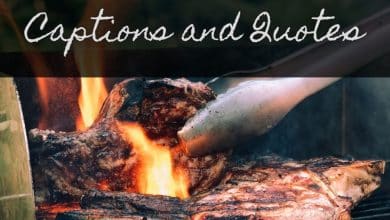 150+ citations de barbecue et idées de légendes pour Instagram