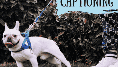 100+ meilleures légendes pour les selfies avec des chiens