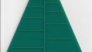 Tout ce que vous voulez savoir sur les antennes Bowtie