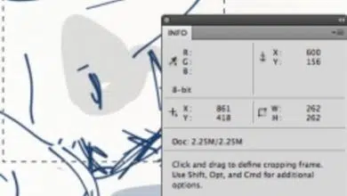 Comment connaître la taille d'une image