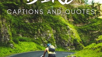 Plus de 150 citations de vélo et idées de légendes pour Instagram