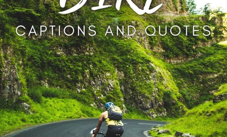 Plus de 150 citations de vélo et idées de légendes pour Instagram