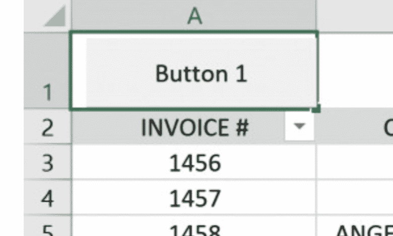 Créer un bouton macro dans MS Excel pour filtrer les données