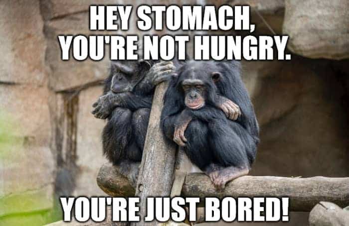 idées-de-citations-et-légendes-sur-l'ennui