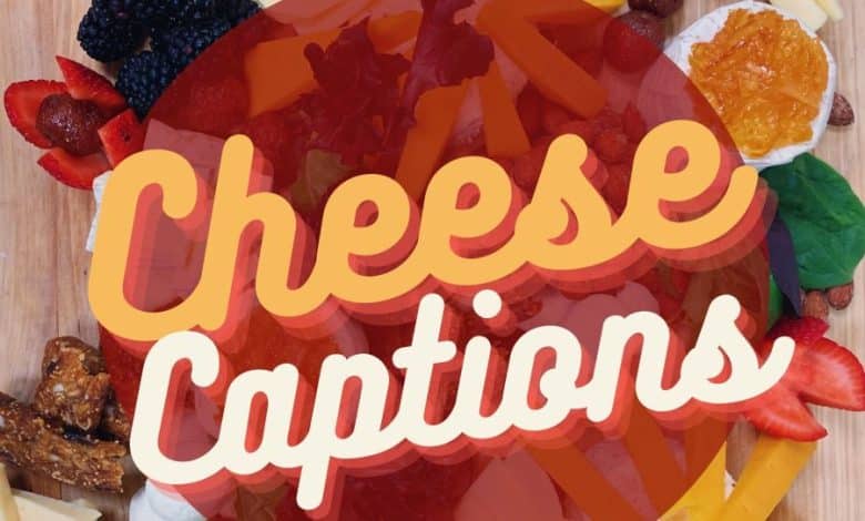 150+ citations de fromage et idées de légendes pour Instagram