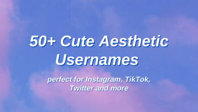 50+ noms d'utilisateur et idées esthétiques mignons: la liste ultime