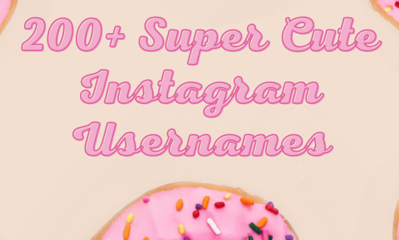 Plus de 200 noms d'utilisateur Instagram esthétiques mignons et élégants