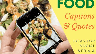 150+ Citations Alimentaires et Idées de Légendes