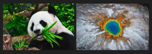 comment-concevoir-une-section-de-héros