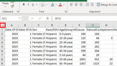 Comment faire une copie d'une feuille de calcul Excel
