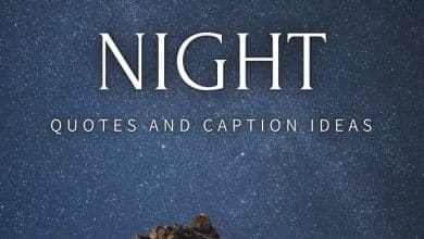 150+ citations de nuit et idées de légendes pour Instagram