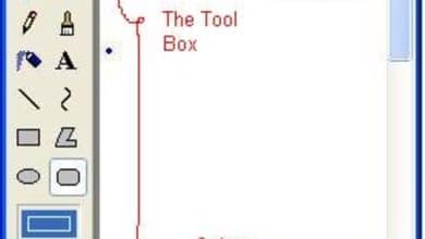 Introduction à MS Paint - TurboFuture