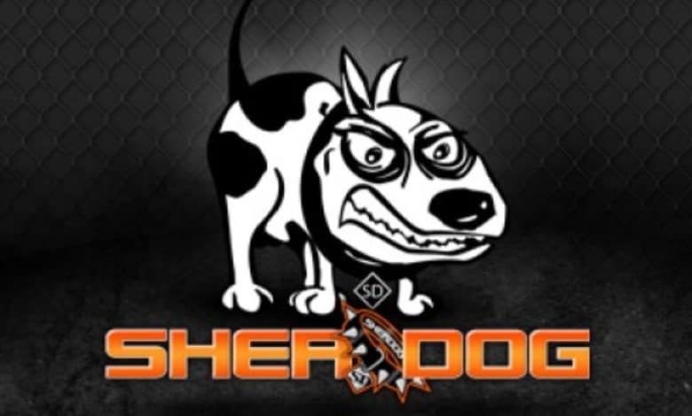 Quels sont les meilleurs forums MMA ?