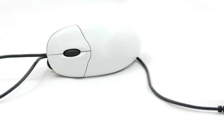 5 types de connecteurs de souris et de souris d'ordinateur
