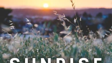 150+ Sunrise Quotes et idées de légendes pour Instagram