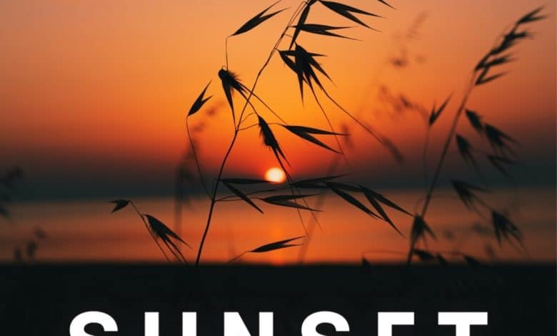 150+ Sunset Quotes et idées de légendes pour Instagram