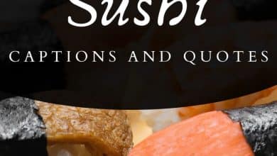 Plus de 150 citations de sushi et idées de légendes pour Instagram