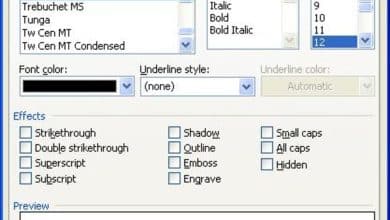 Édition de texte et mise en forme d'un document à l'aide de Microsoft Word