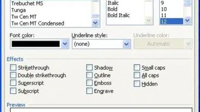 Édition de texte et mise en forme d'un document à l'aide de Microsoft Word