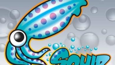 Les meilleurs packages pfSense - TurboFuture