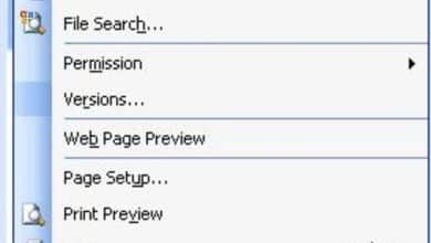 Utilisation du menu Fichier dans MS Word 2003