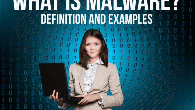 Qu'est-ce qu'un logiciel malveillant ?  Définition et 6 exemples