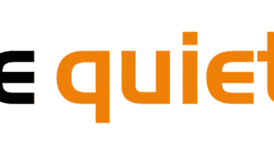 Soyez silencieux!  Examen de l'alimentation électrique Straight Power 11