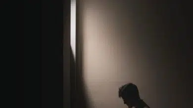 5 modèles de livre de notions et de liste de lecture évoquant