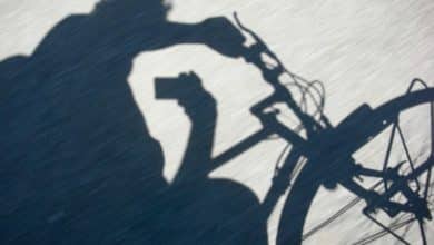 11 biographies de grands auteurs sur Twitterverse et ce qui les rend exceptionnels