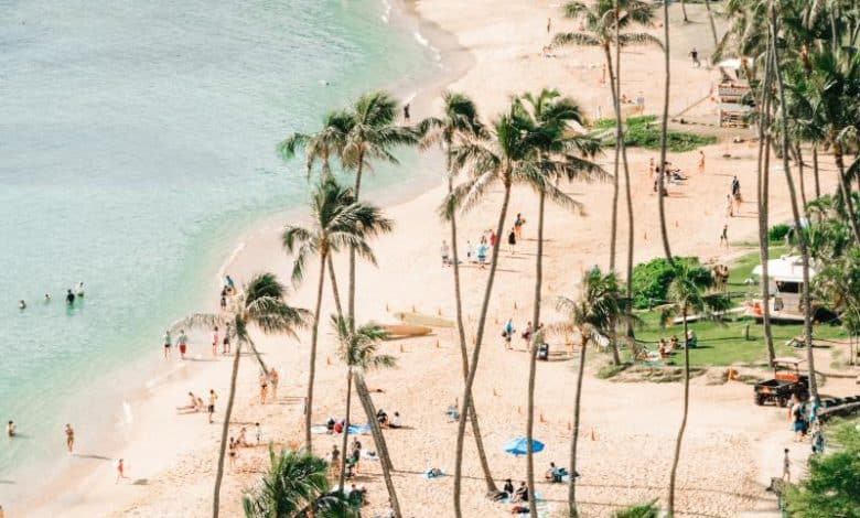 99+ légendes Instagram impressionnantes d'Hawaï